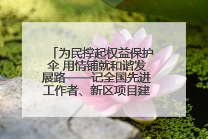 为民撑起权益保护伞 用情铺就和谐发展路——记全国先进工作者、新区项目建设中心干部卢小勇